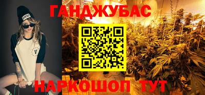 гашик Гусев